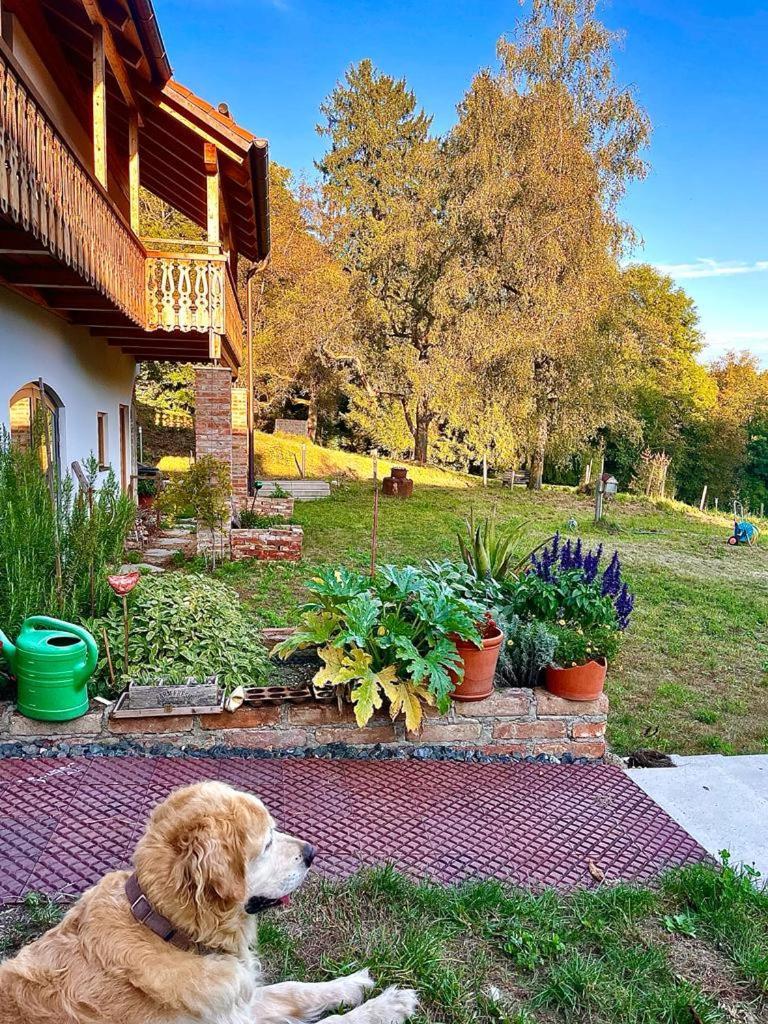 Sunhill Appartments, Klimatisiert Winhoring Esterno foto